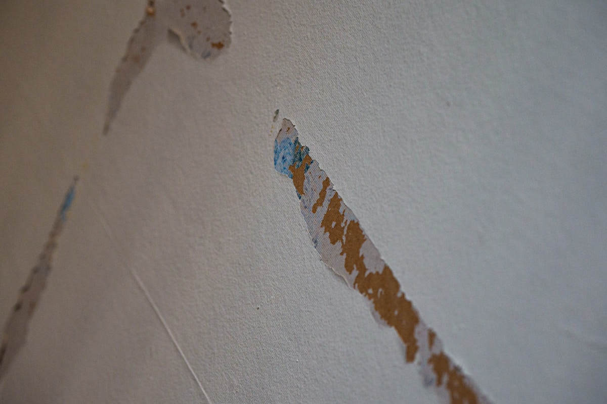 Structural Drying service in North Bethesda, MD